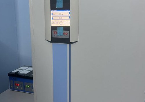 gal6